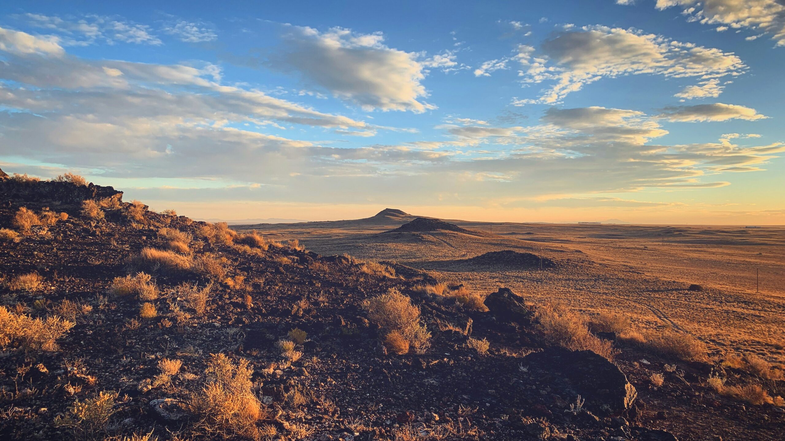 Cheapest Car Insurance in Albuquerque