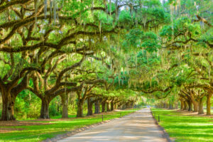 South Carolina Car Insurance Resources