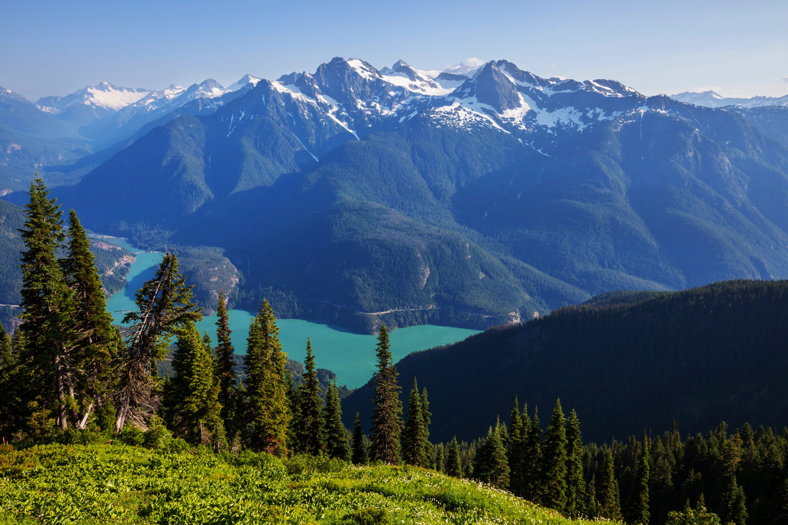 Cheap Car Insurance in Washington State for May 2025