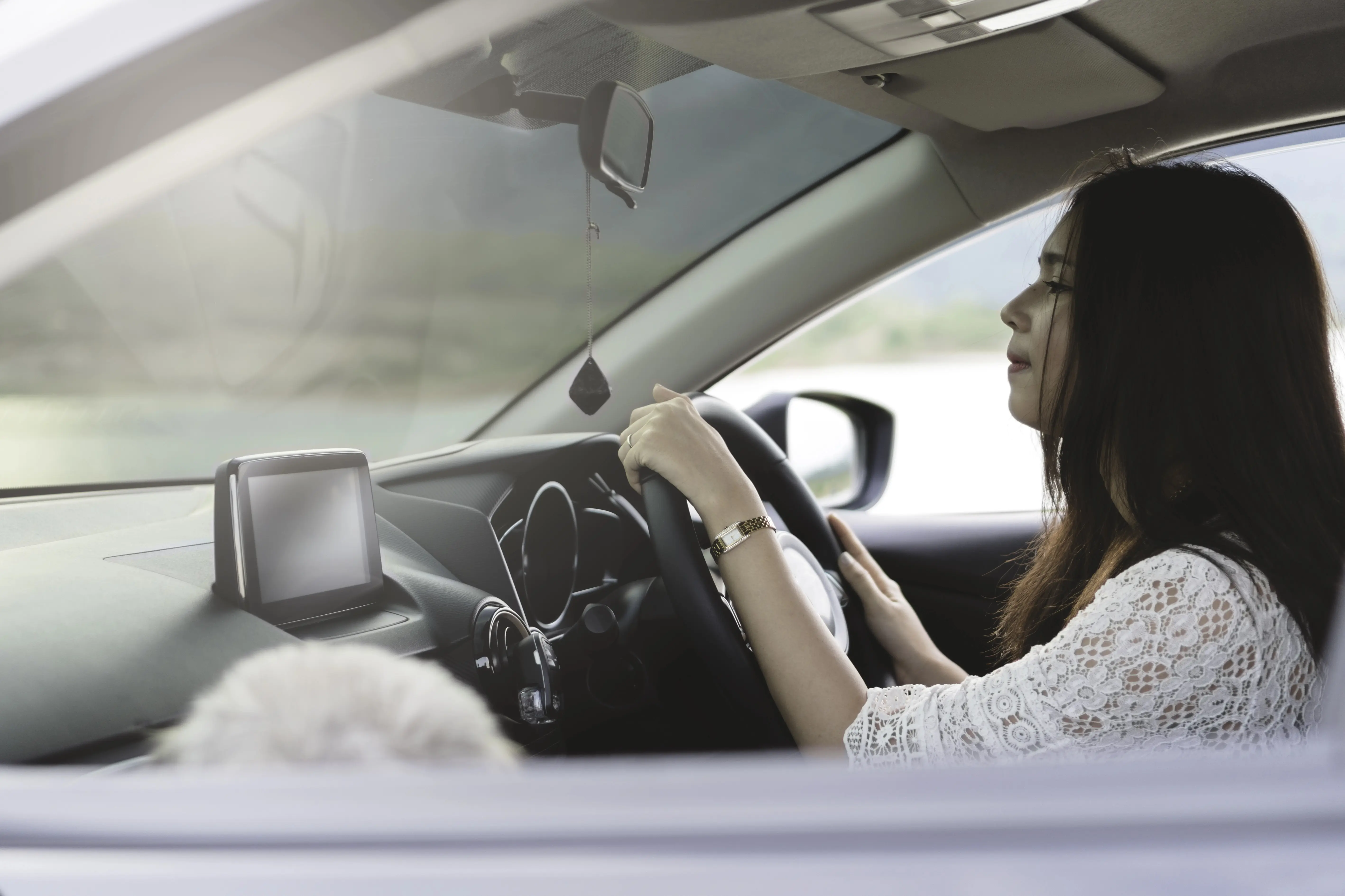 Woman driving with dog in passenger seat.