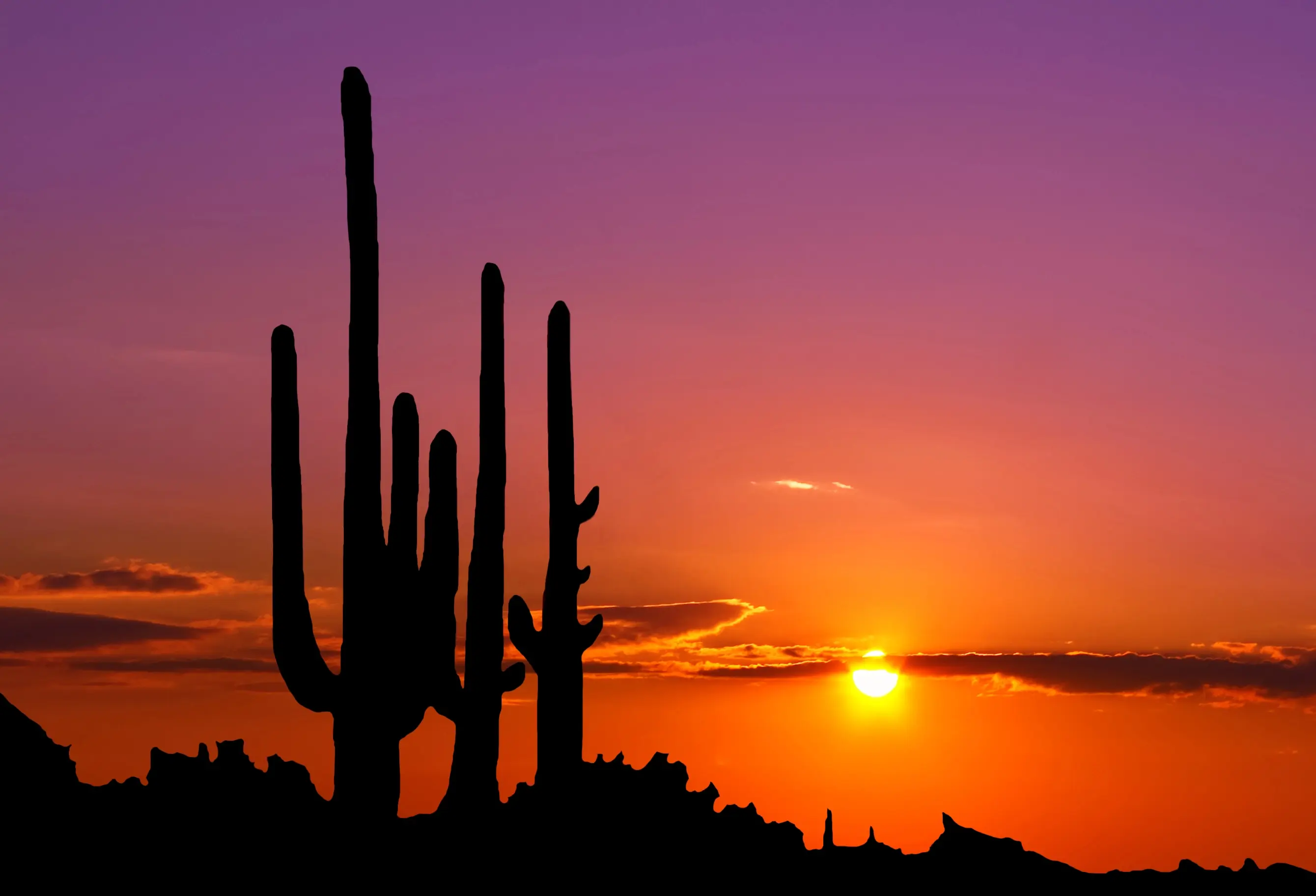 Cheapest Car Insurance in New Mexico for June 2025