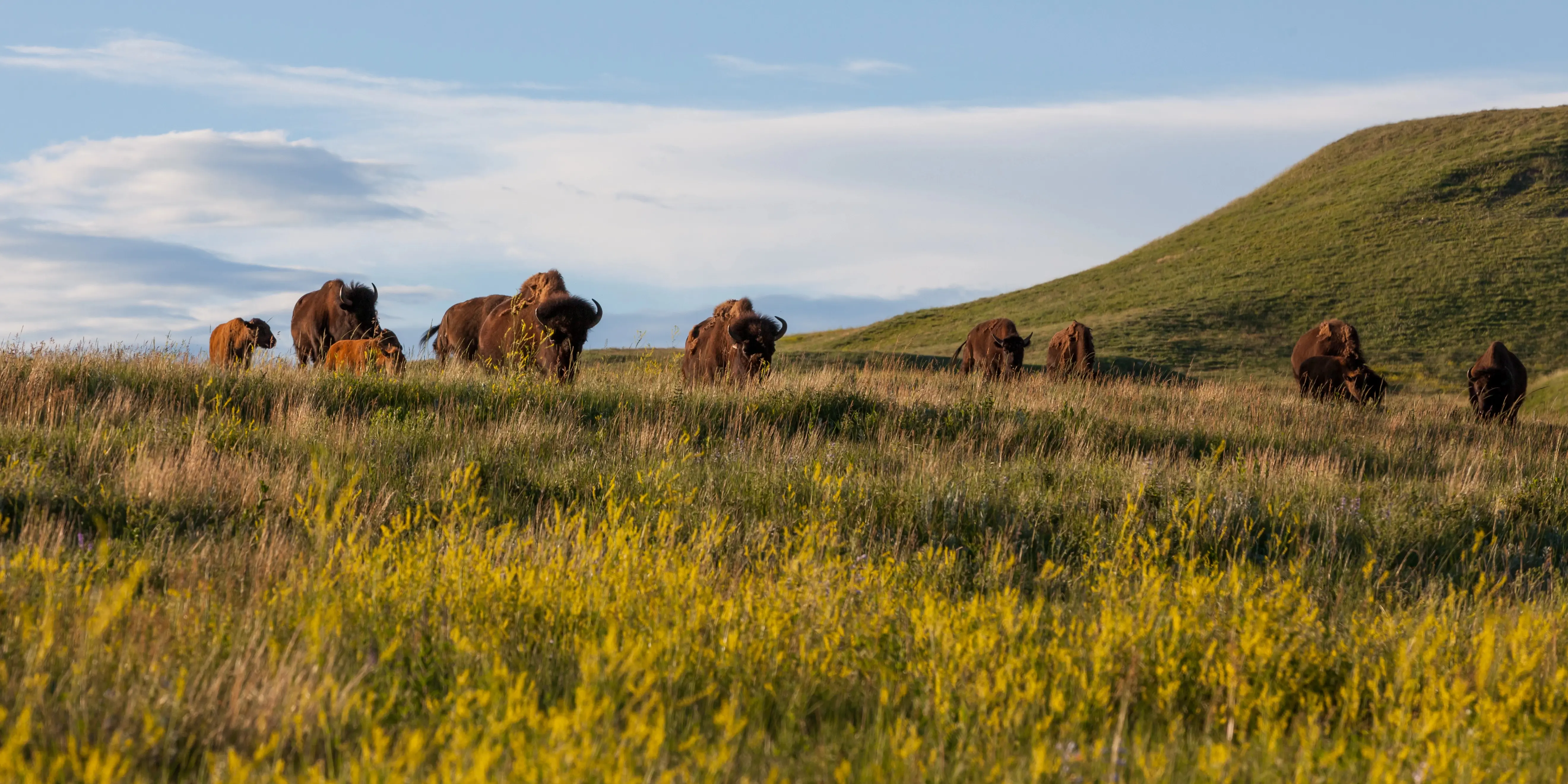 Cheapest Car Insurance in South Dakota for October 2025