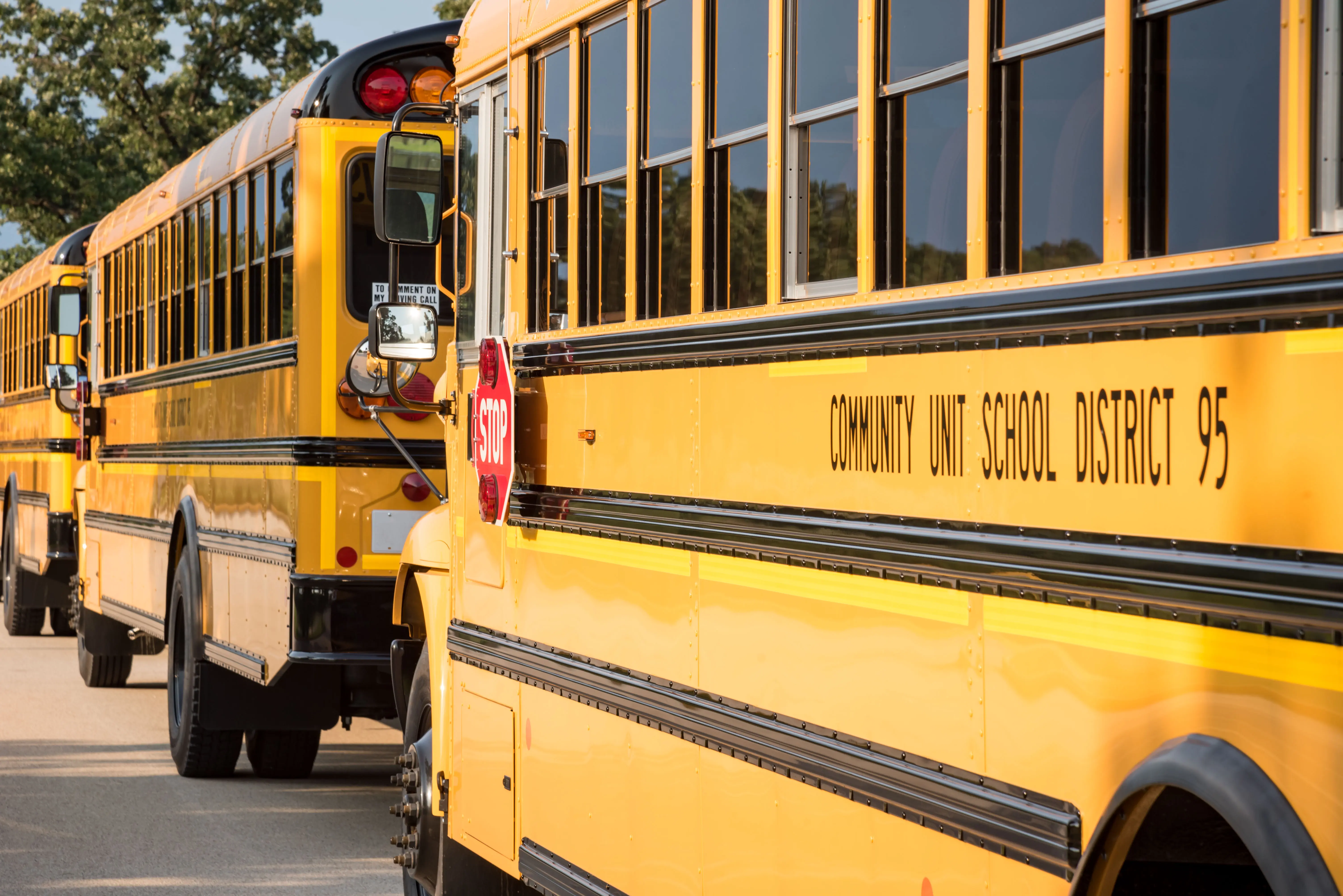 Line up of school busses