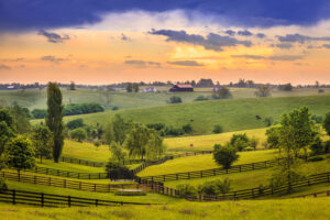 Kentucky Car Insurance Resources