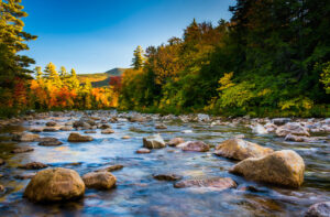 New Hampshire Car Insurance Resources