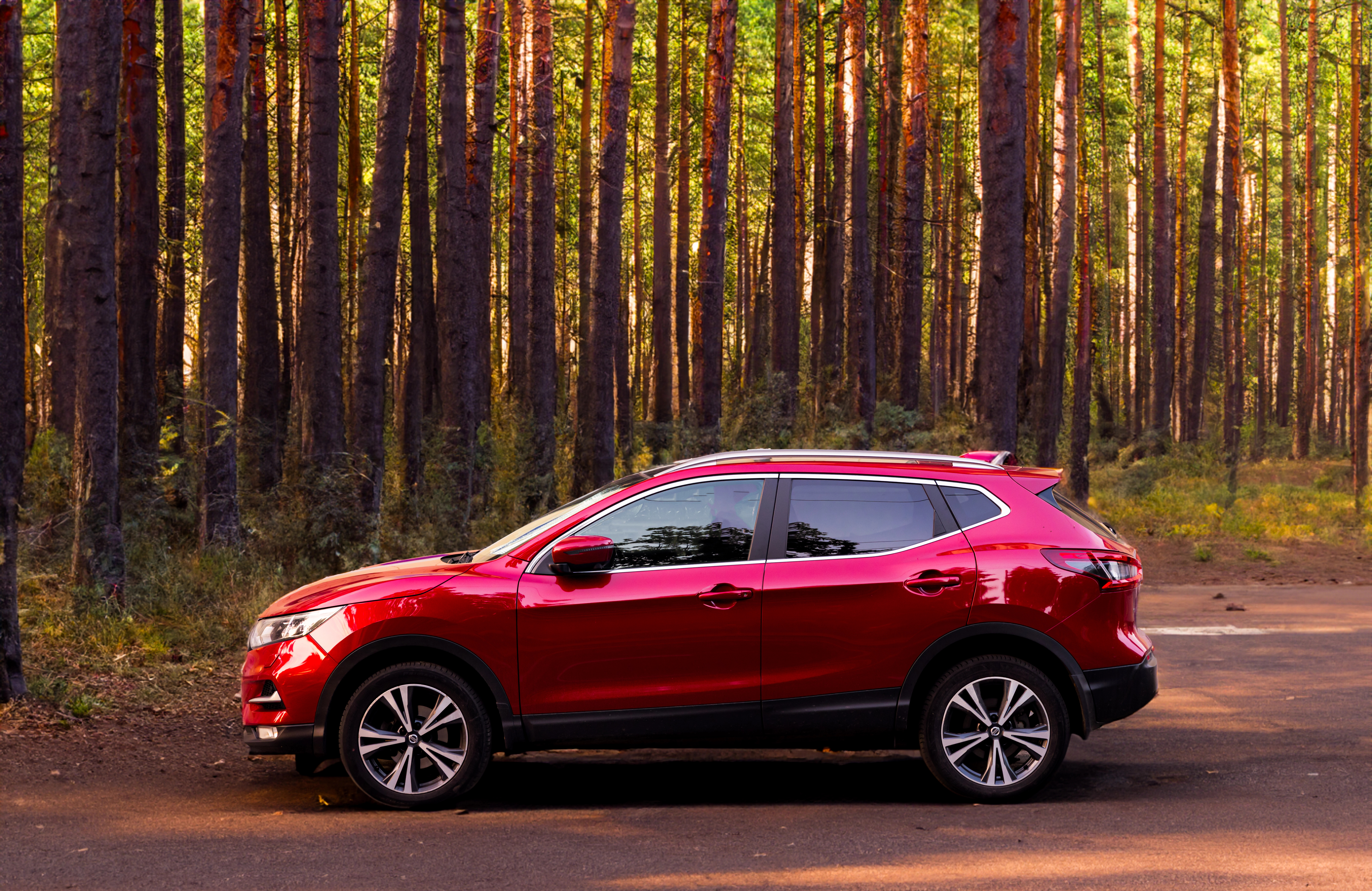 Side view of Nissan SUV in a forest