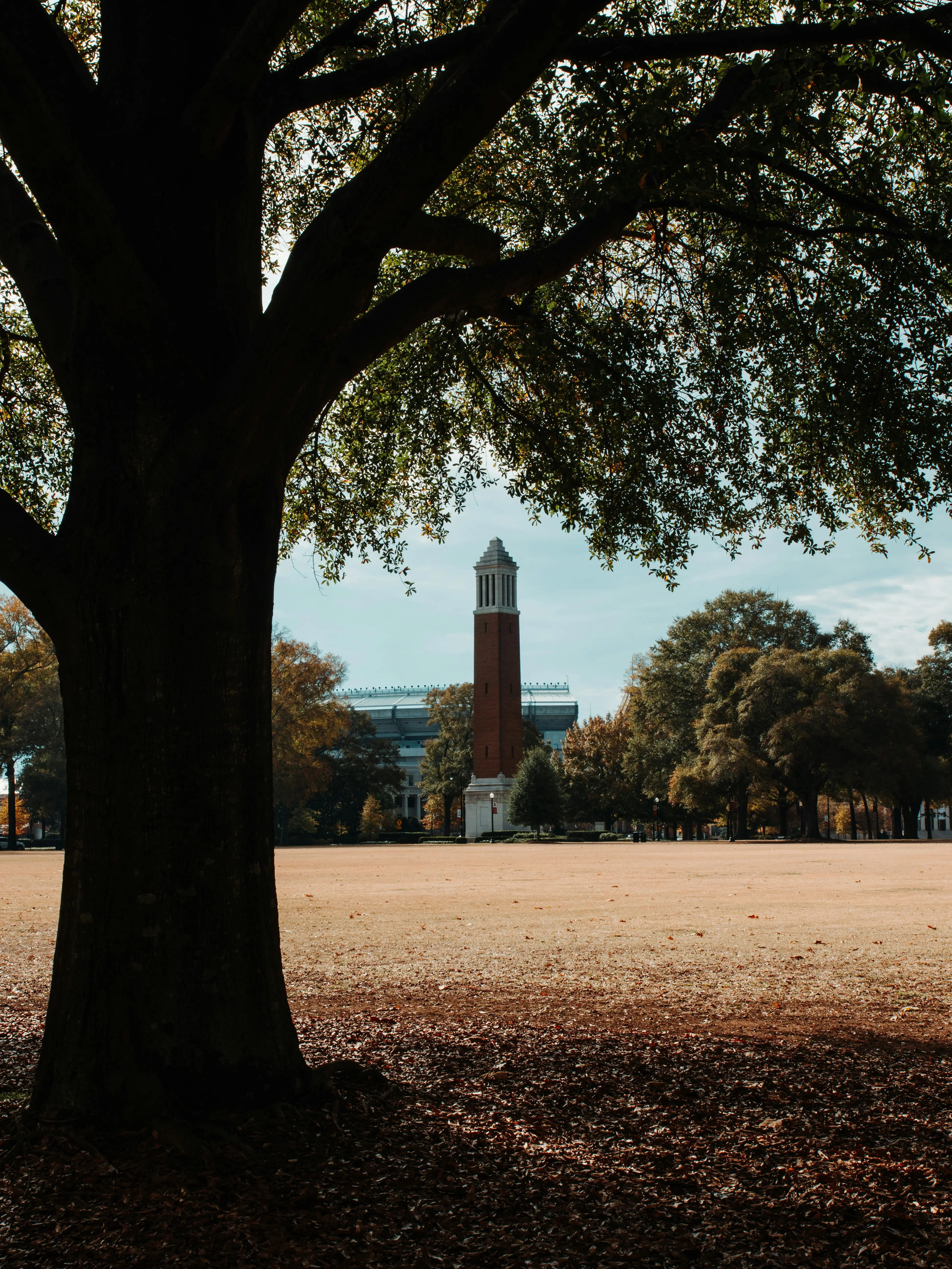 Cheapest car insurance in Tuscaloosa, Alabama (2025)
