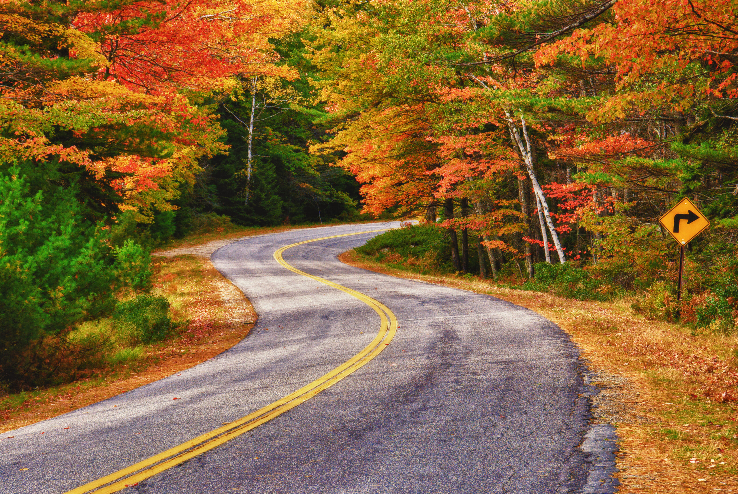 Car Insurance 16 Best Car Insurance in Massachusetts for May 2025
