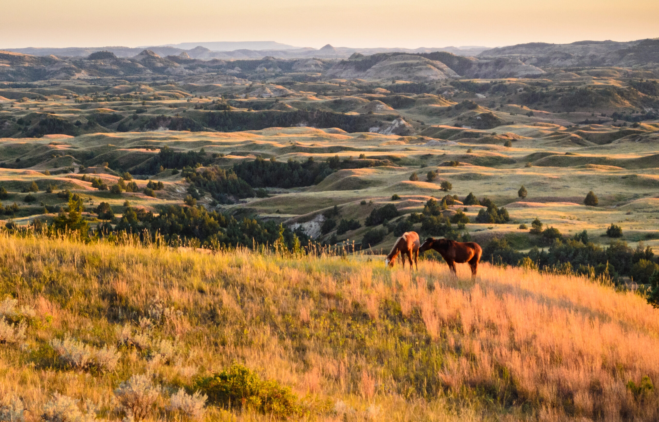 Theodore Roosevelt National Park in North Dakota.