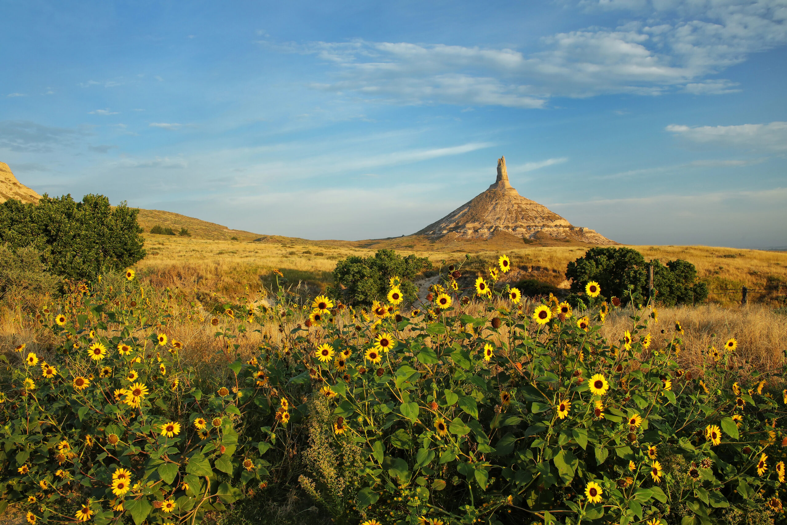 Chimney Rock National Historic Site with sunflowers, western Nebraska, USA. The peak of Chimney Rock is 1289 meters above sea level.
