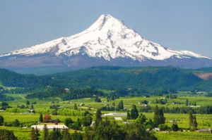 Oregon Car Insurance Resources