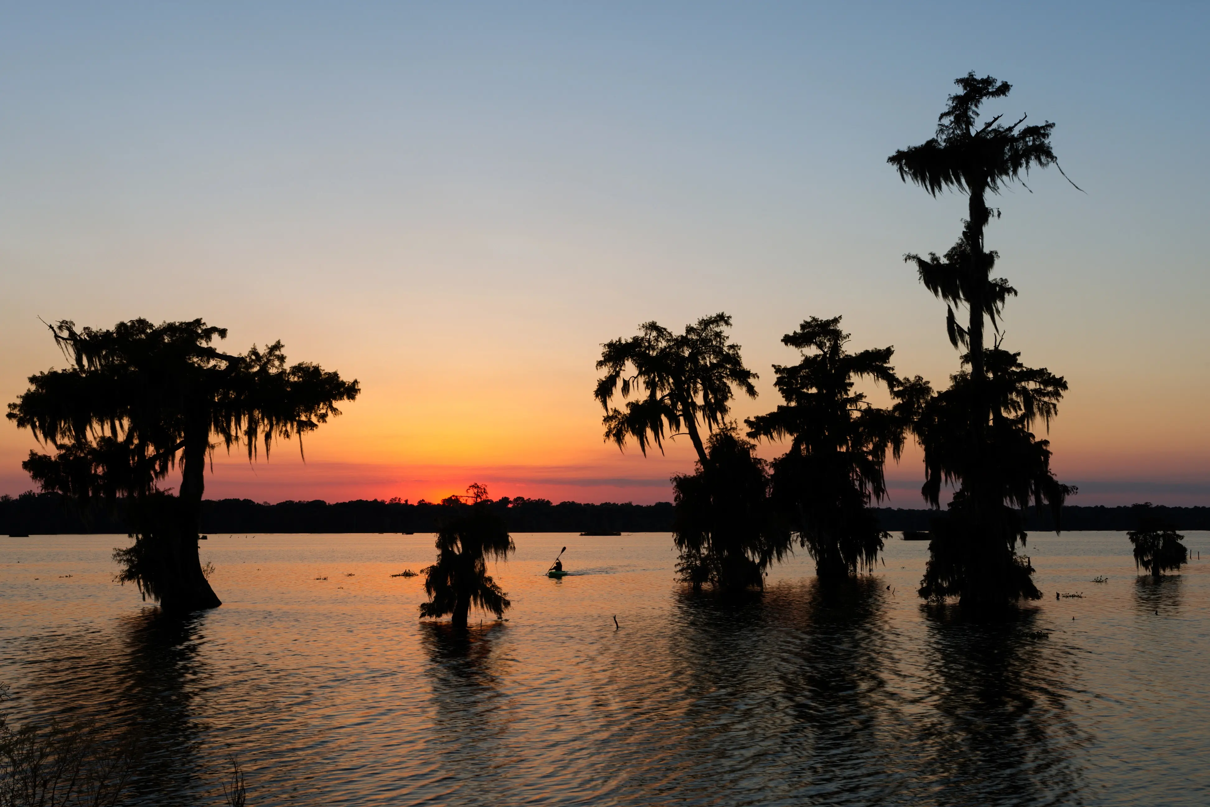 Best Car Insurance in Louisiana for May 2025