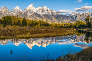 Wyoming Car Insurance Resources