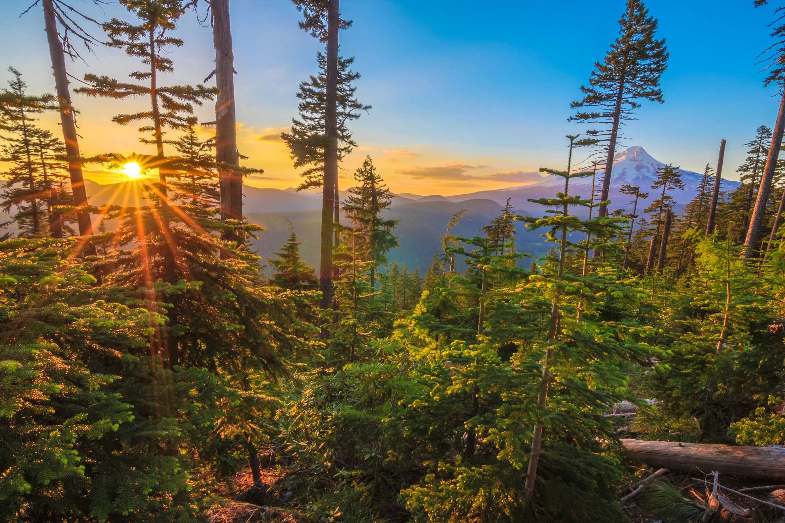 Beautiful Vista of Mount Hood in Oregon, USA.
